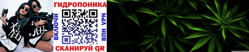  COCAIN Питкяранта