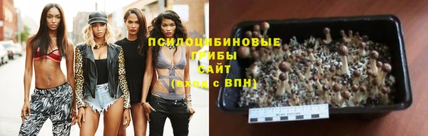 бошки Алексеевка