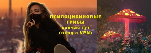 скорость Алексин