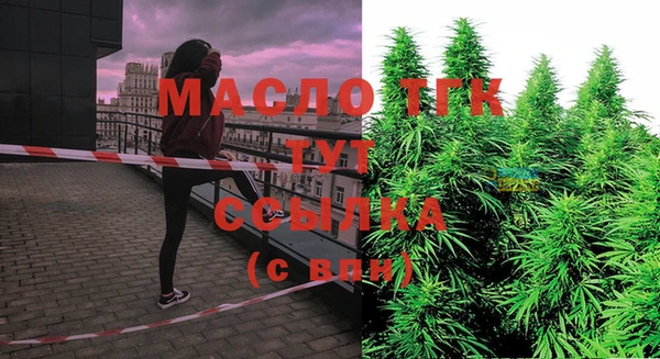 гидра Алзамай