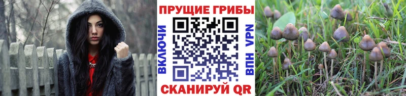 Галлюциногенные грибы MAGIC MUSHROOMS  Питкяранта 