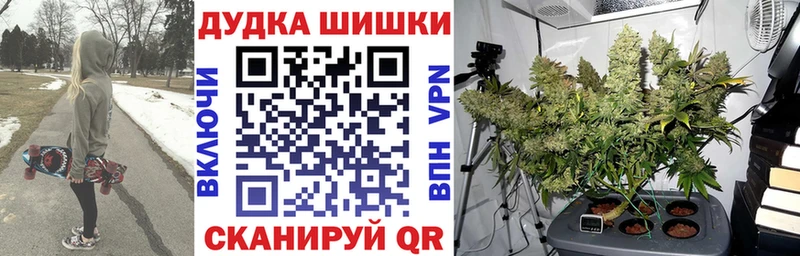 МАРИХУАНА семена  магазин  наркотиков  Питкяранта 